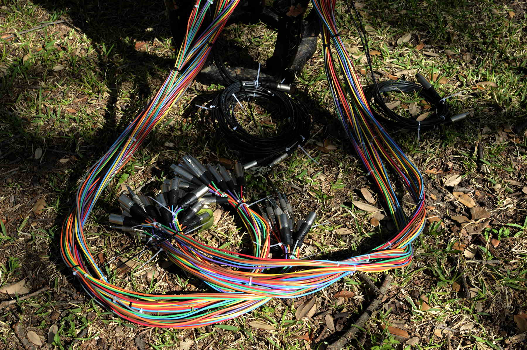 bittree-1RU-custom-6