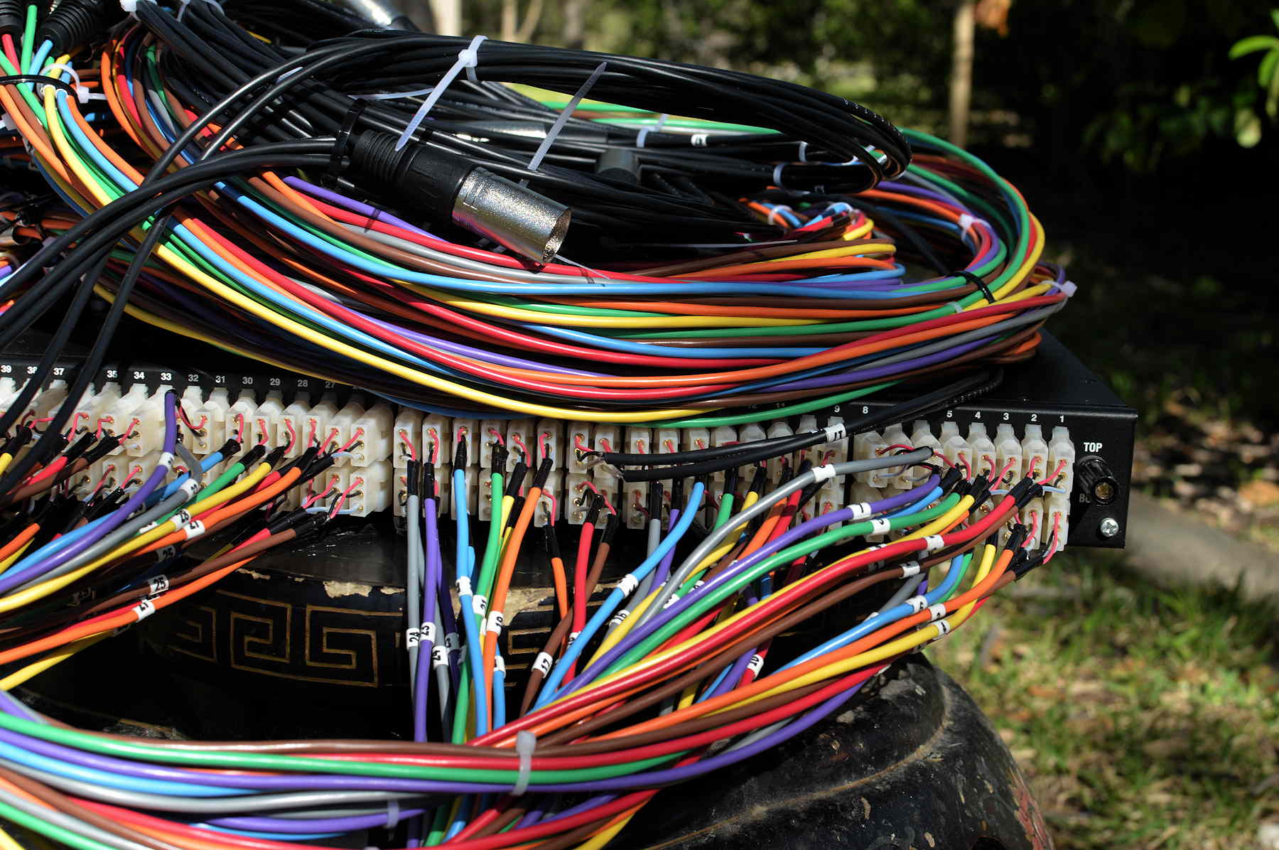 bittree-1RU-custom-8